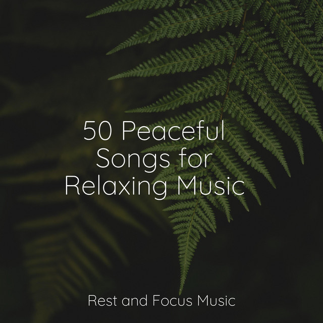 50 Peaceful Songs for Relaxing Music Album by Sleep Sounds of Nature