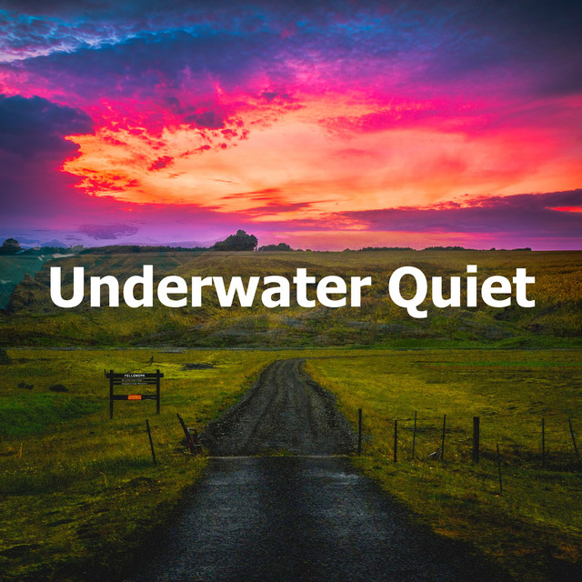 Underwater Quiet Album by Music to Relax in Free Time Spotify