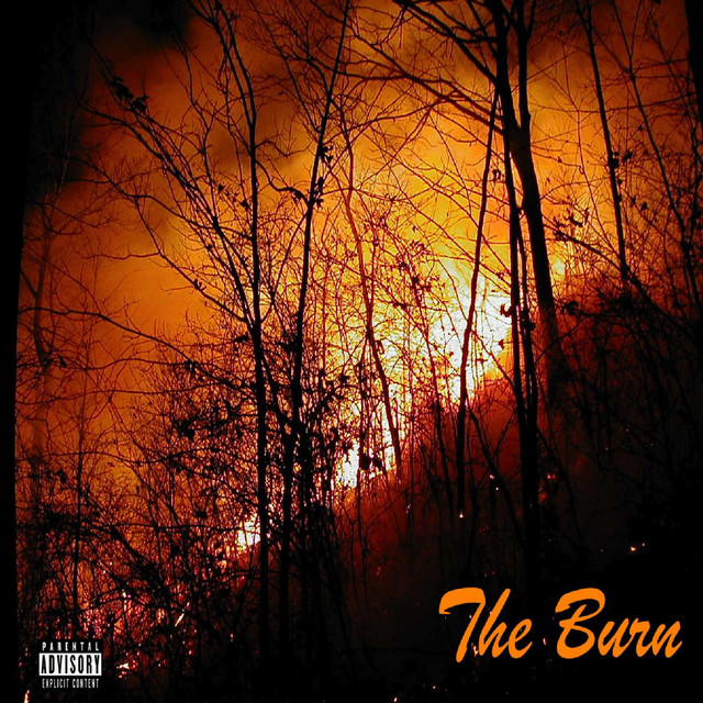 Jungle Fever song and lyrics by The Summer Spotify