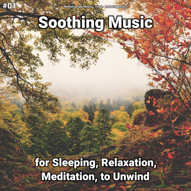 01 Soothing Music for Sleeping, Relaxation, Meditation, to Unwind