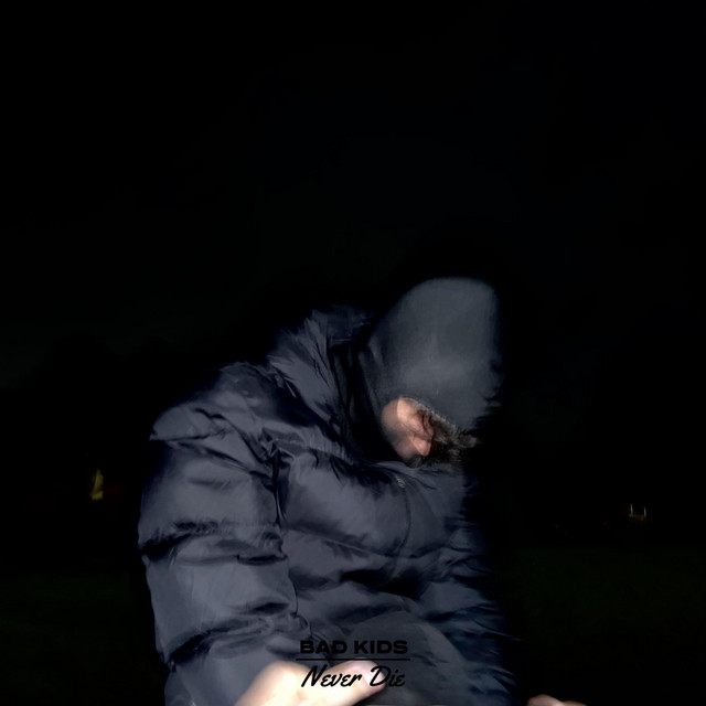 Drip Boyz Single by Erik Suñiga Spotify