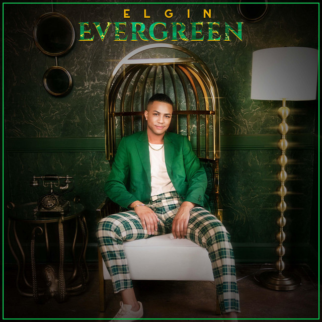 Evergreen song and lyrics by Elgin Spotify