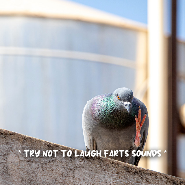 poop sounds song and lyrics by Fart Sound Effect, Funny Fart, Funny