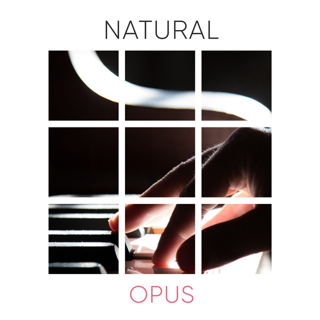 Dawn Chorus song and lyrics by Piano Lullabies Spotify