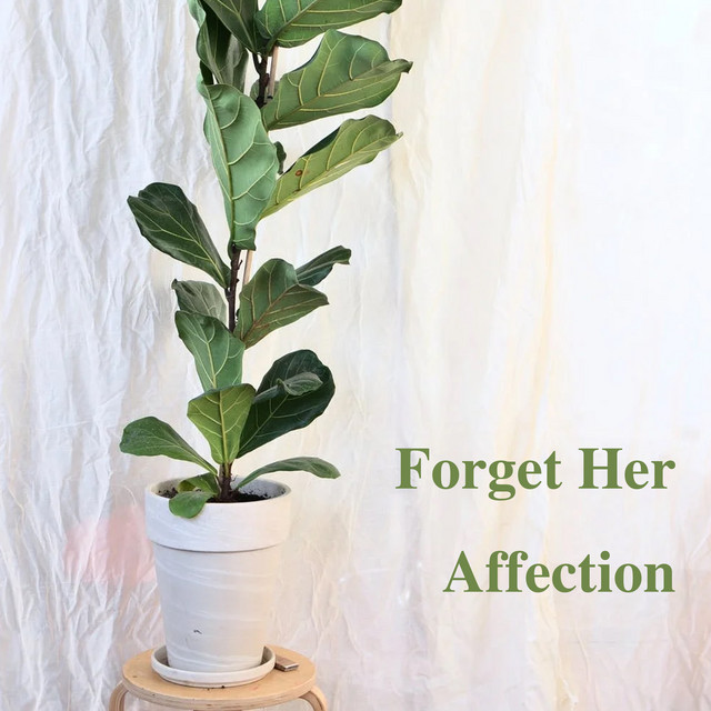 Birthday And Games song and lyrics by Geraldine Fletcher Spotify