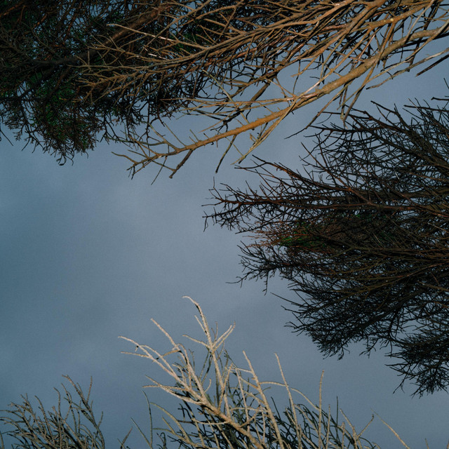 Garden Single by Jonah Vocal Spotify