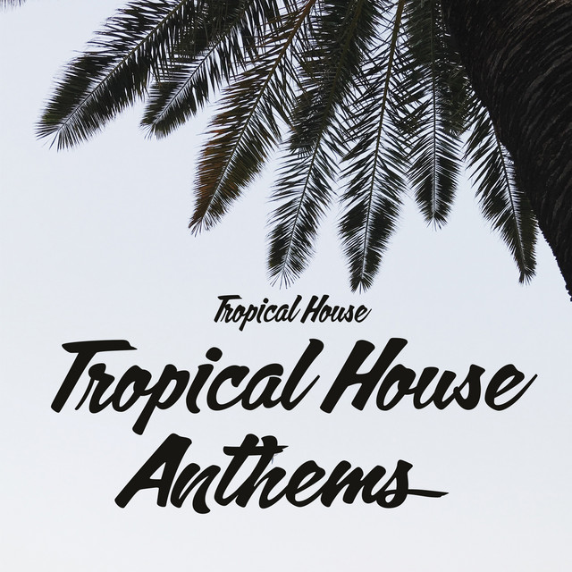 BPM and key for Bubblegum New by Tropical House Tempo for Bubblegum New SongBPM