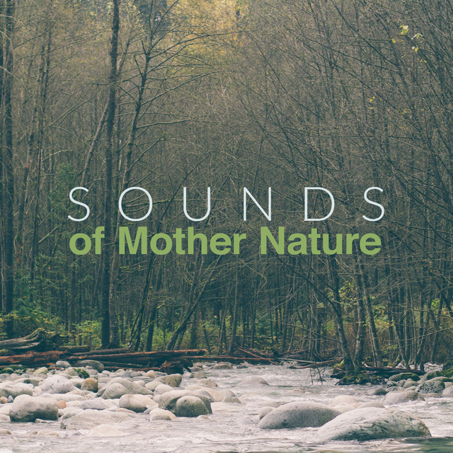 Sounds of Mother Nature Album by Sounds of Nature Relaxation Spotify