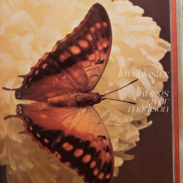 Wings Over Madison Single by Loveblaster Spotify