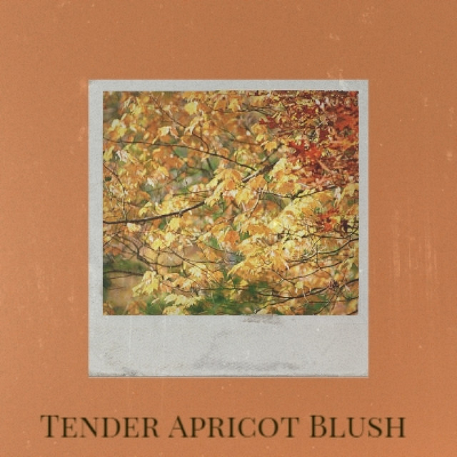 Tender Apricot Blush song and lyrics by Paint Chips Spotify