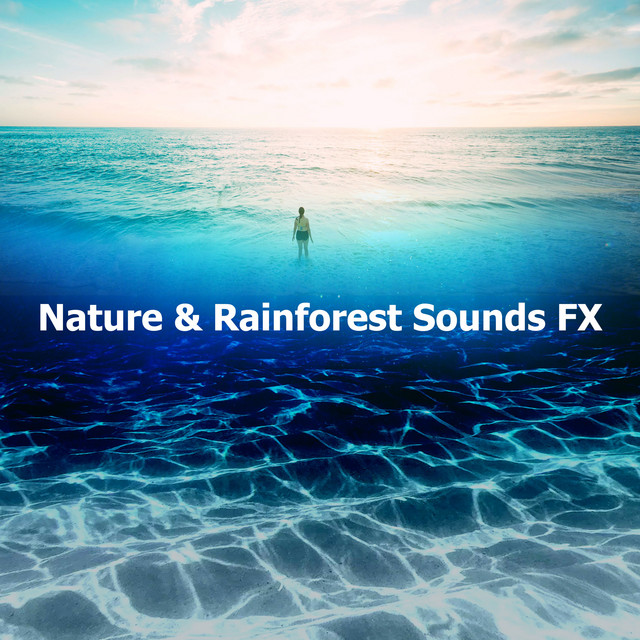 Rainforest Habitat song and lyrics by Nature & Rainforest Sounds