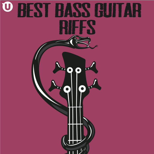 Best Bass Guitar Riffs Compilation by Various Artists Spotify