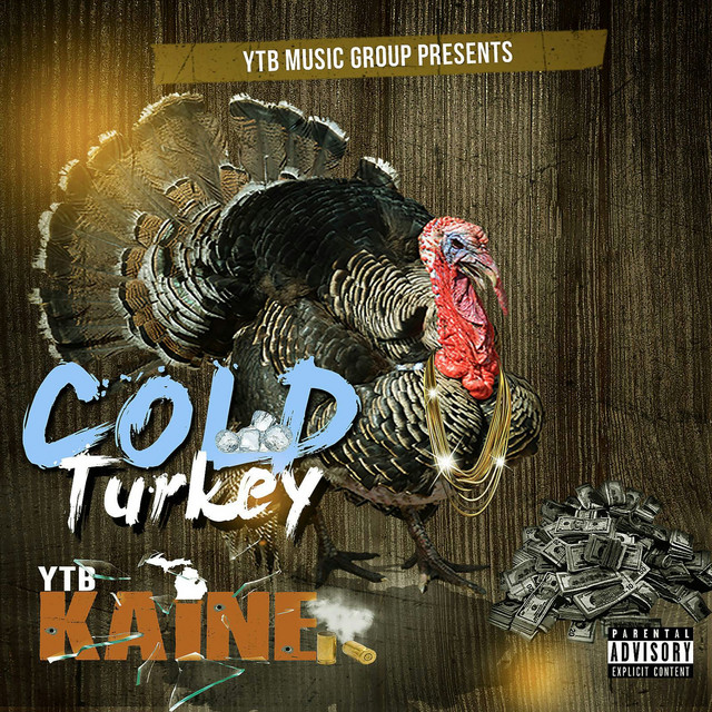 Cold Turkey Album by YTB Kaine Spotify