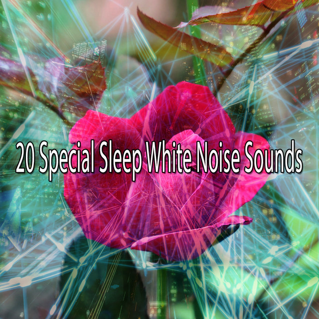 20 Special Sleep White Noise Sounds Album by White Noise Research