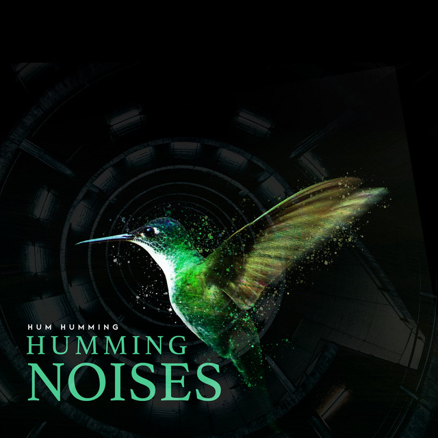 Humming Noises Album by Hum Humming Spotify