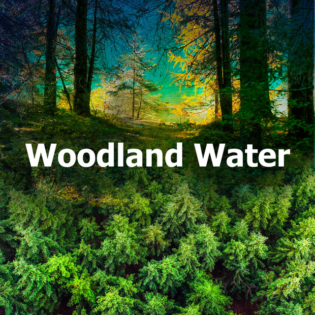 Woodland Water Album by Sons Da Natureza Spotify