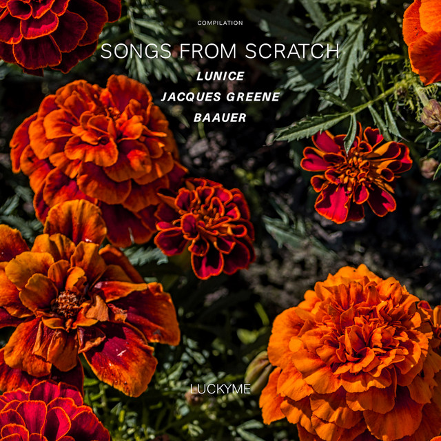 Songs From Scratch Single by Various Artists Spotify