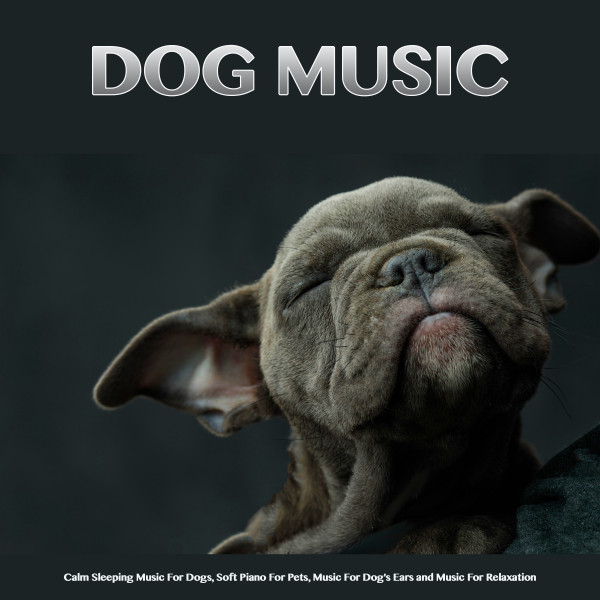 Relaxing Music For Dogs song by Dog Music, Sleeping Music For Dogs