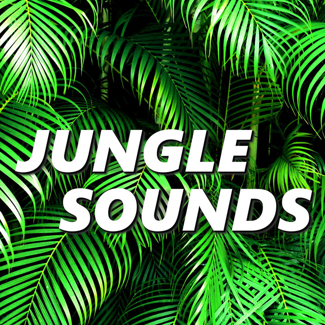 Amazon Jungle Sounds Spotify