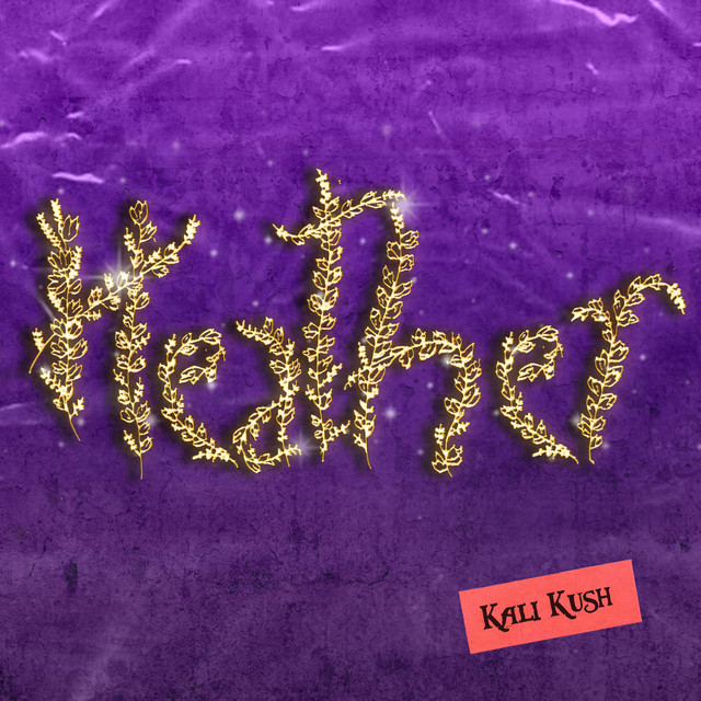 Against the Wall song and lyrics by Kali Kush Spotify