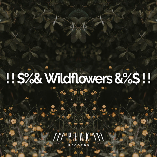 Wildflowers & ! ! Album by Forest Sounds Spotify