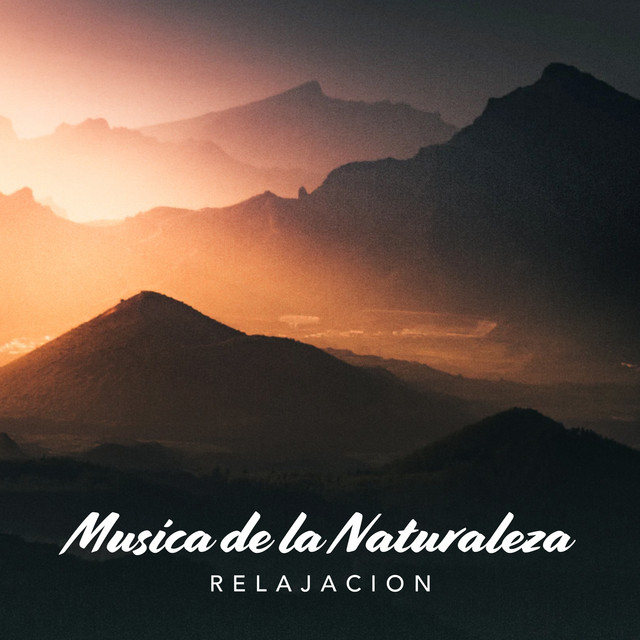 Tweets in Treetops song and lyrics by Bird Sounds Spotify