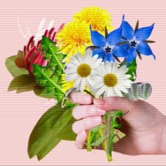 Flower Single by Sleep Paralysis Club Spotify