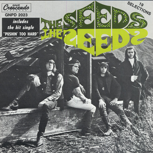 nobody 2023 Nobody Spoil My Fun - Song And Lyrics By The Seeds | Spotify