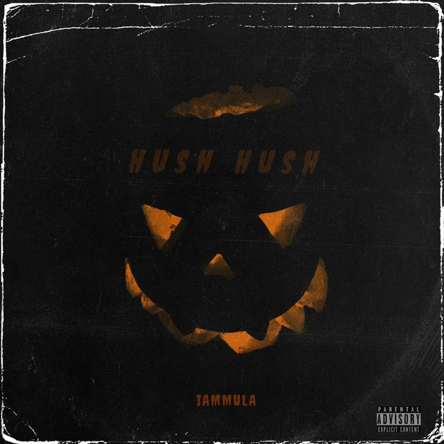 Hush Hush song and lyrics by iamMula Spotify