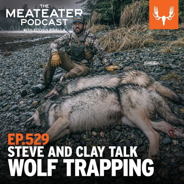 Ep 529 BONUS DROP Steve and Clay Talk Alaska Wolf Trapping The