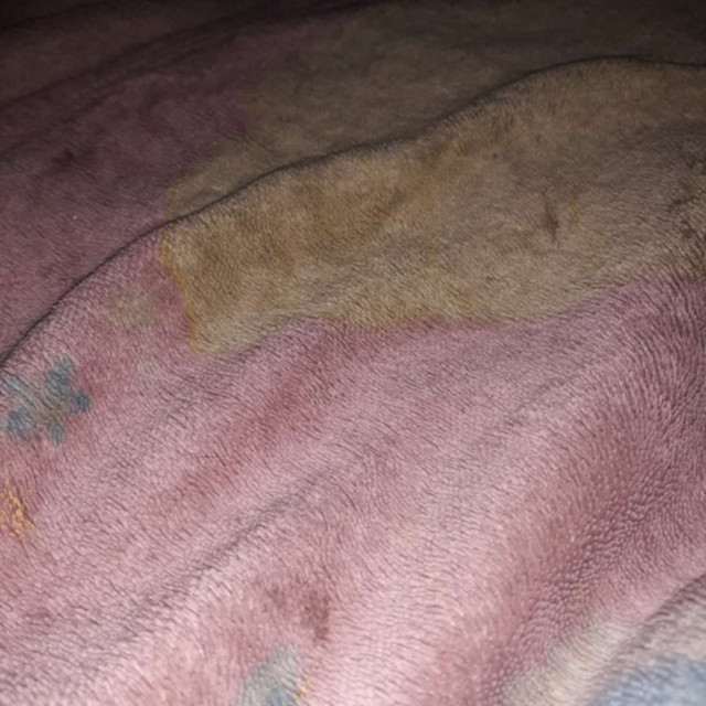 smelly blanket Podcast on Spotify