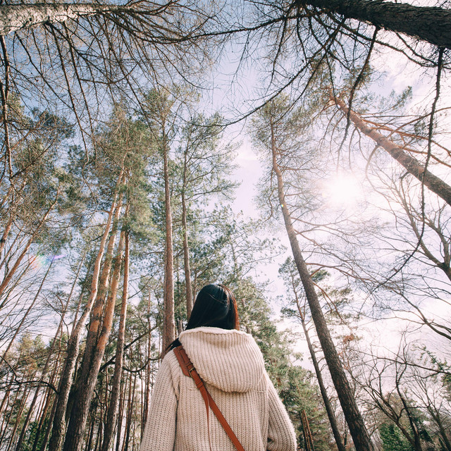 A guide to forest bathing Life Kit Podcast on Spotify