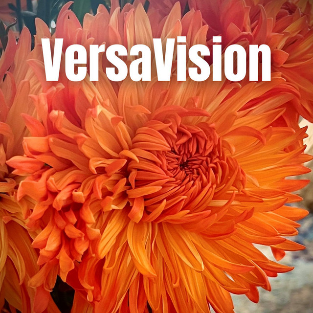 VersaVision | Podcast on Spotify