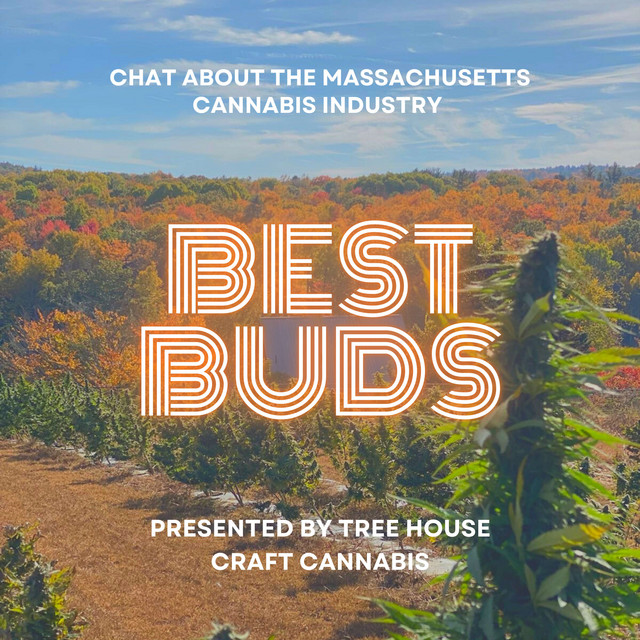 Best Buds Podcast on Spotify