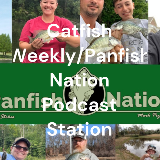 25 Best Podcasts About Catfishing
