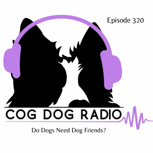 Do Dogs Need Dog Friends? CogDog Radio Podcast on Spotify