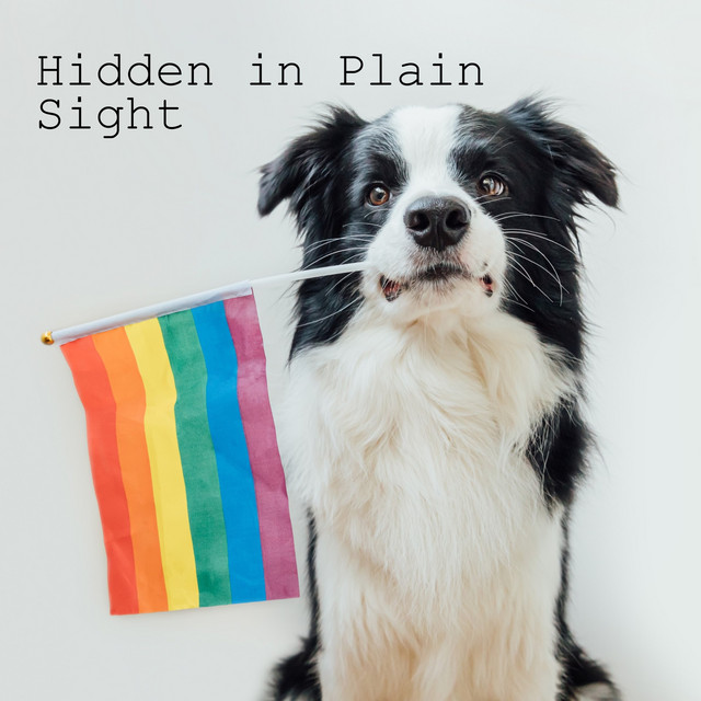 Hidden in Plain Sight Podcast on Spotify