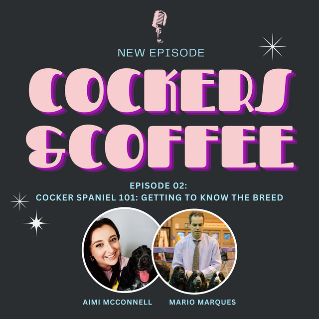 Episode 02 Cocker Spaniel 101 Getting to know the breed Cockers