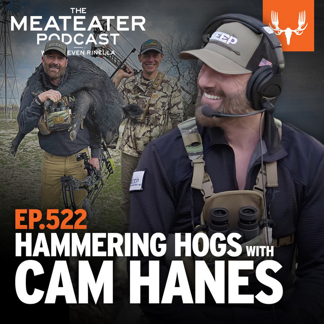 Ep. 522 Hammering Hogs with Cam Hanes The MeatEater Podcast