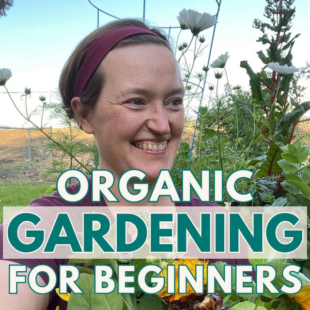 Organic Gardening For Beginners Tips To Plan And Grow Your Own