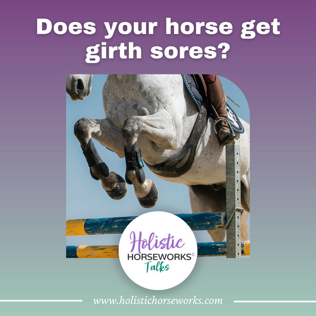 Does your horse get girth sores? Here is what you can do. Holistic