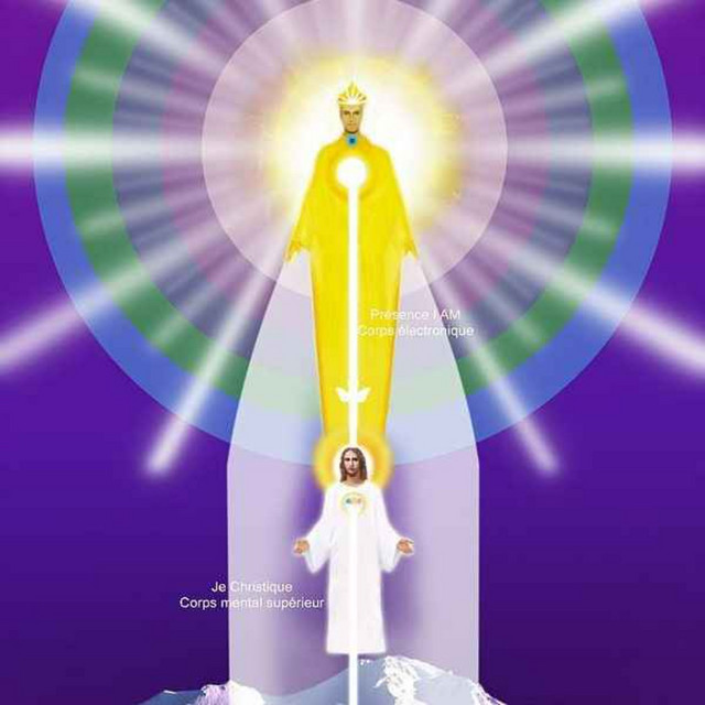 Leçon essentielle 5 Applications Journalières 21 Leçons