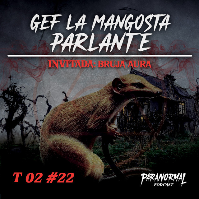 GEF LA MANGOSTA PARLANTE Y LA MAGIA DE LOS MUERTOS Invitada BRUJA