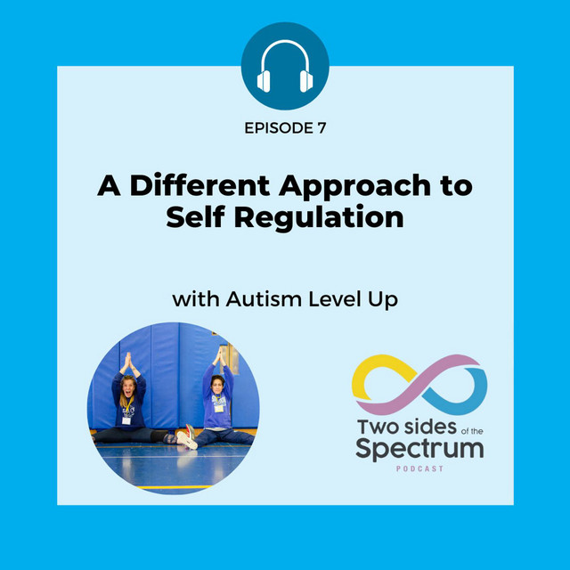 A Different Approach to Self Regulation with Autism Level Up Two Sides of the Spectrum