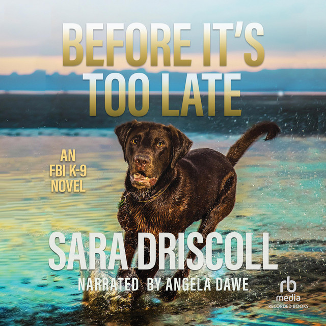 Before It's Too Late Audiobook on Spotify