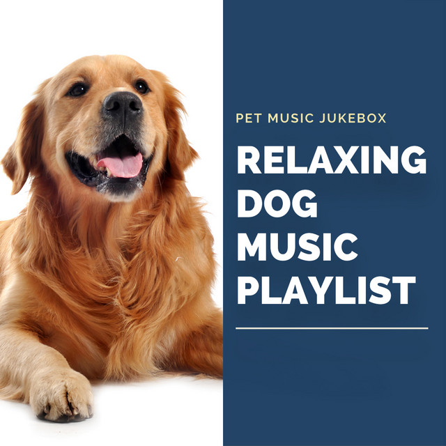 DOG MUSIC Relaxing music for dogs Calming music for