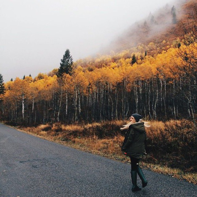 autumn acoustic 2017 playlist by laurenadams Spotify