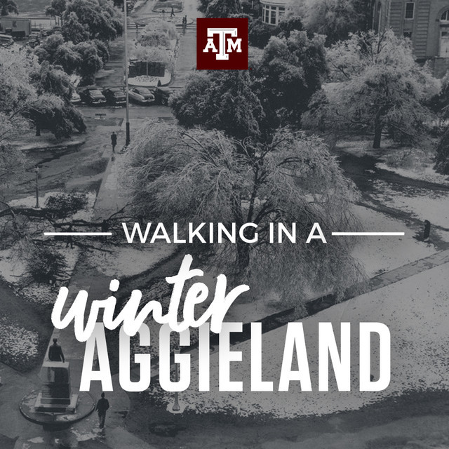 Walking in a Winter Aggieland playlist by tamu Spotify