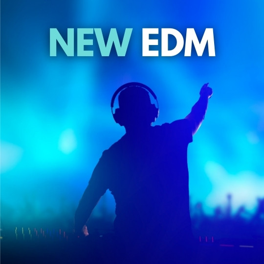NEW EDM 2021 playlist by edm movement Spotify