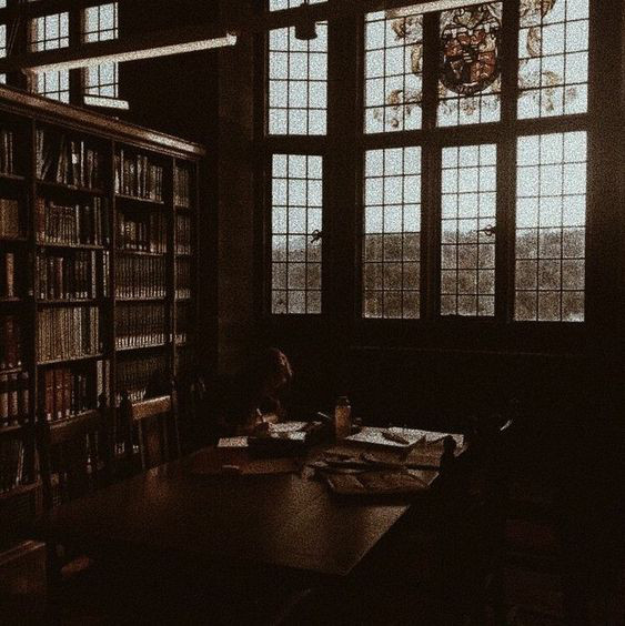 oh to be a Hogwarts student studying in the library with Hermione